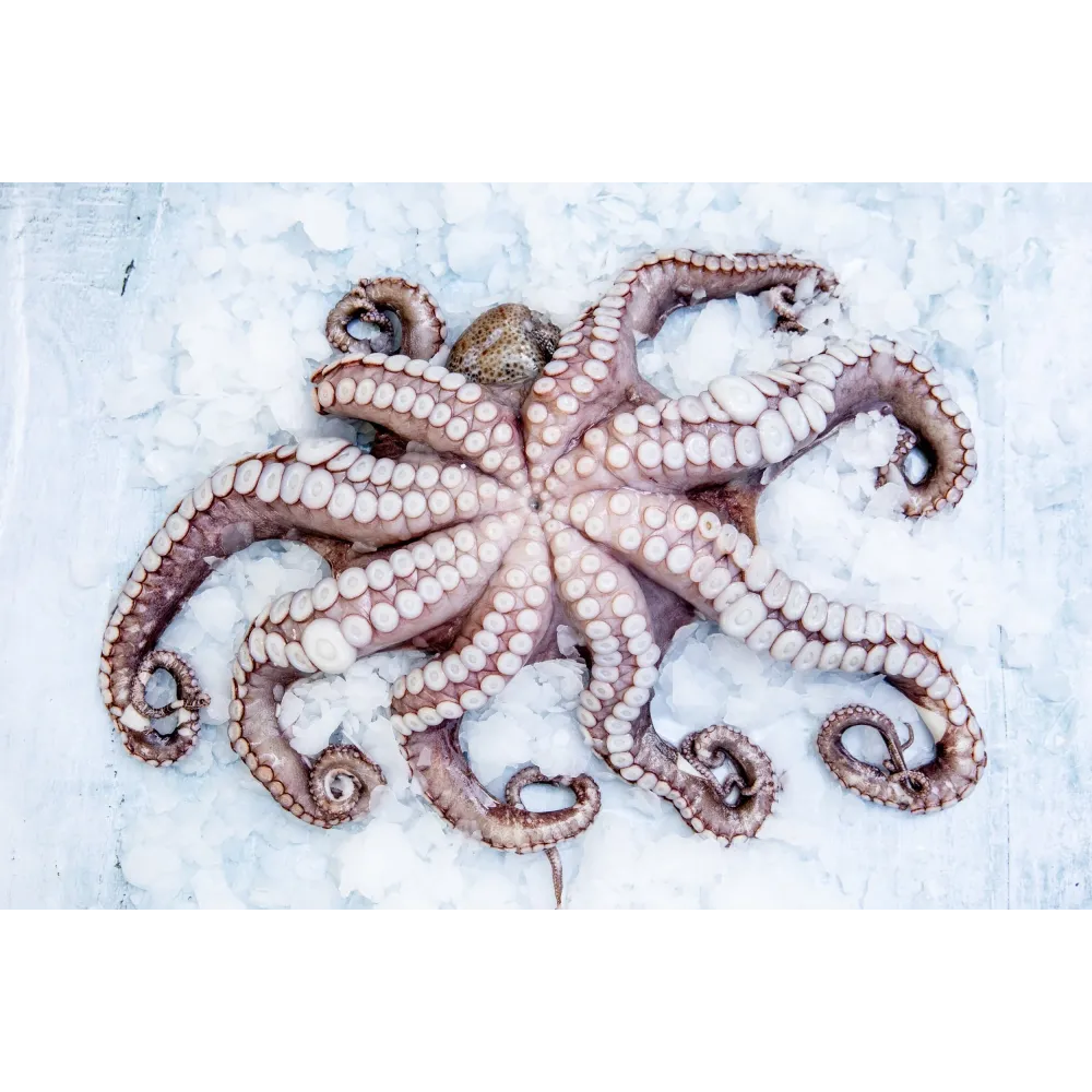 Генератор льда GR185, 178kg/24h