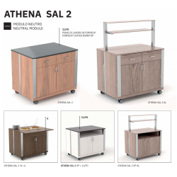 НЕЙТРАЛЬНЫЙ МОДУЛЬ С ДВЕРЬЮ ATHENA SAL N2