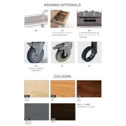 ТЕЛЕЖКА С ОДНОЙ ГАЗОВОЙ ГОРЕЛКОЙ ARIANNA F1