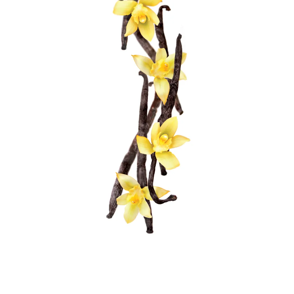 Ванильный сироп 1L