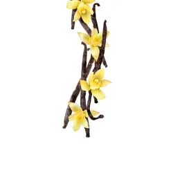 Ванильный сироп 250ml