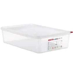 GN 1/1 H-100  мм с крышкой