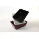 Контейнер Plexi GN 1/5 глубиной 80 мм из полиметилметакрилата Чёрный (A00006229)