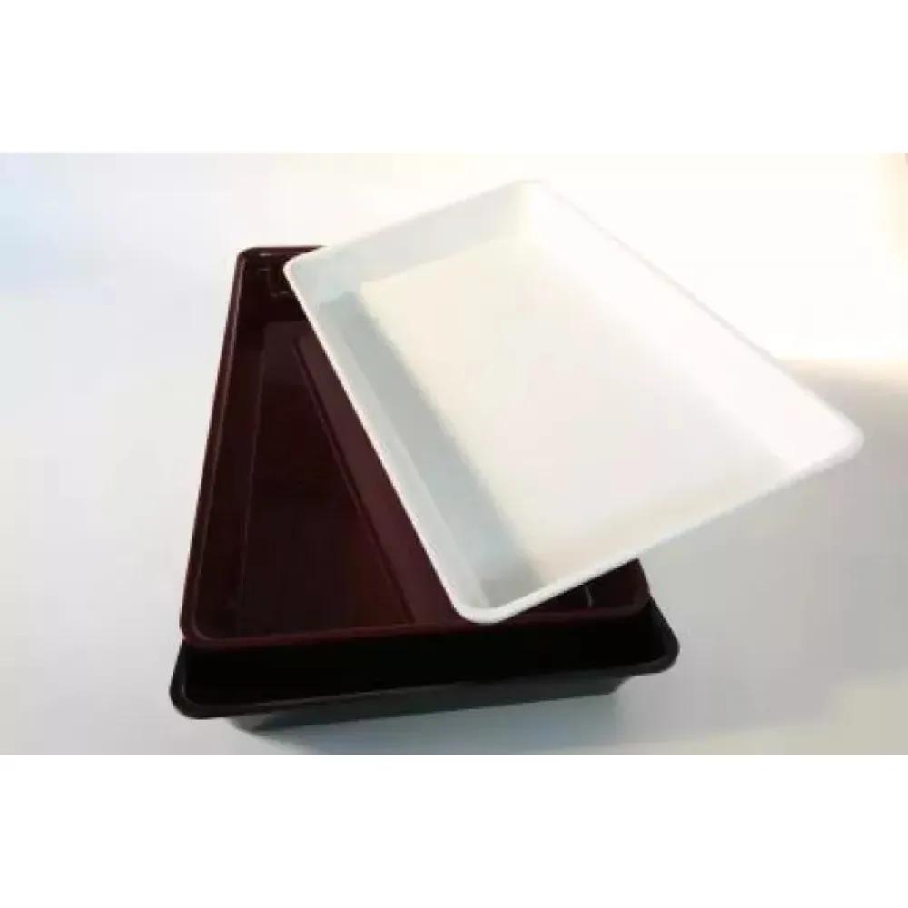 Контейнер Plexi GN 1/1 глубиной 50 мм из полиметилметакрилата Белый (A00009556)