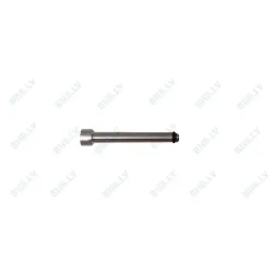 Nozzle0.6/3.9x35 Inox brewingunit WMF