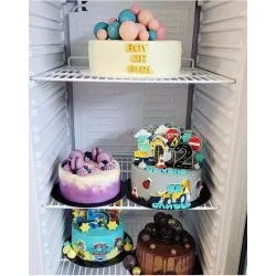 Холодильный шкаф 265 л