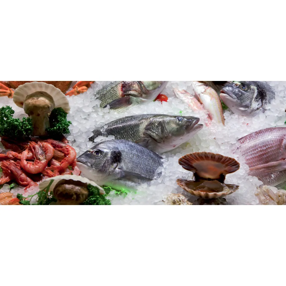 Генератор льда CD55, 52kg/24h