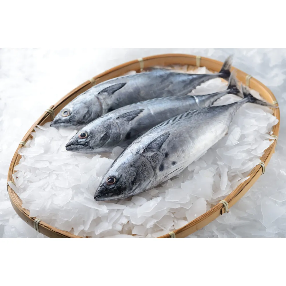 Генератор льда SC3TN-S, 3000kg/24h