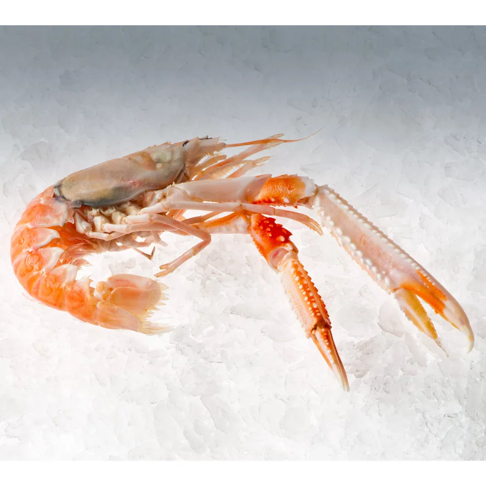 Генератор льда KFE1000, 1000kg/24h