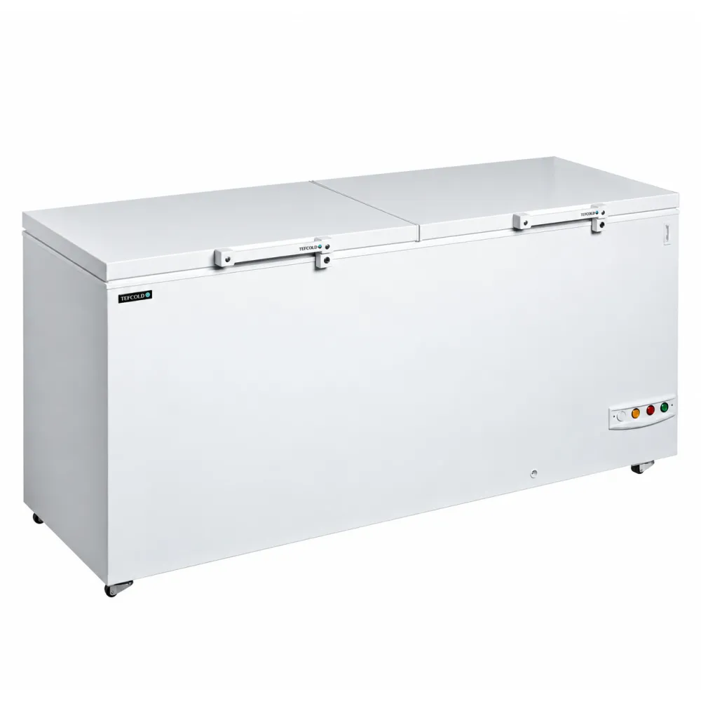 Морозильный ларь с двухсекционной крышкой, 565 л (FR606 SL)
