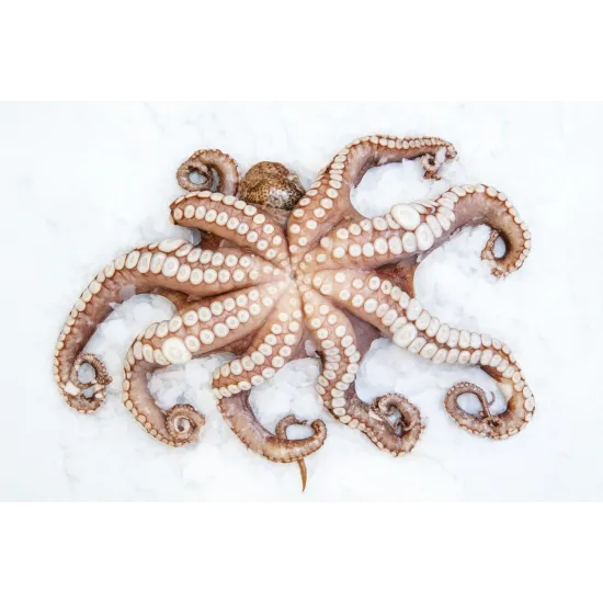 Генератор льда GR / KS Гранулированный лёд