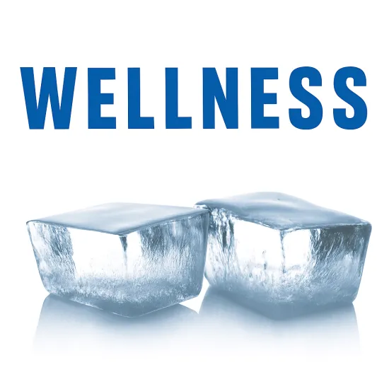 Генераторы льда GRN / GRF / KFE ICE WELLNESS
