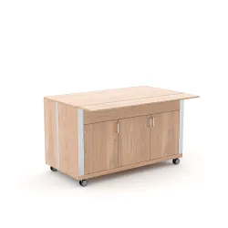 НЕЙТРАЛЬНЫЙ МОДУЛЬ С ДВЕРЬЮ ATHENA SAL N3