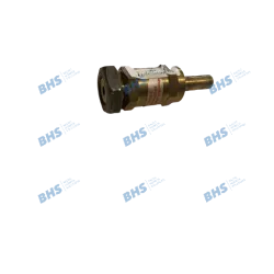 Safety valve 5bar UK