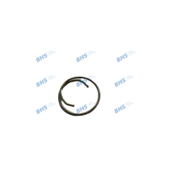 Spring friction piston