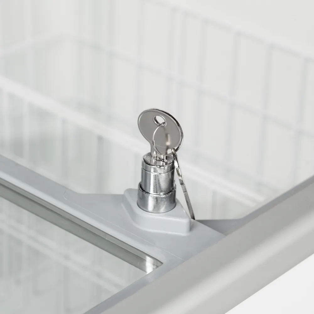 Морозильный ларь для мороженого IC301SC