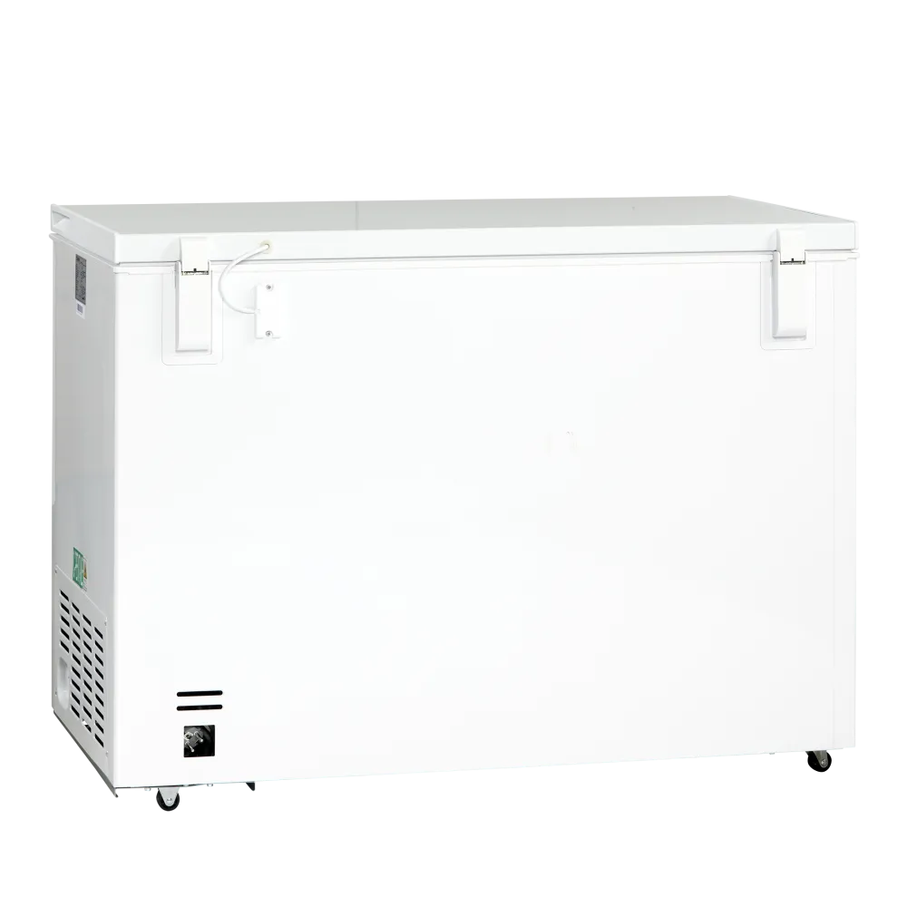 Морозильный ларь 400L CF400WE (01124210000CF400WE)