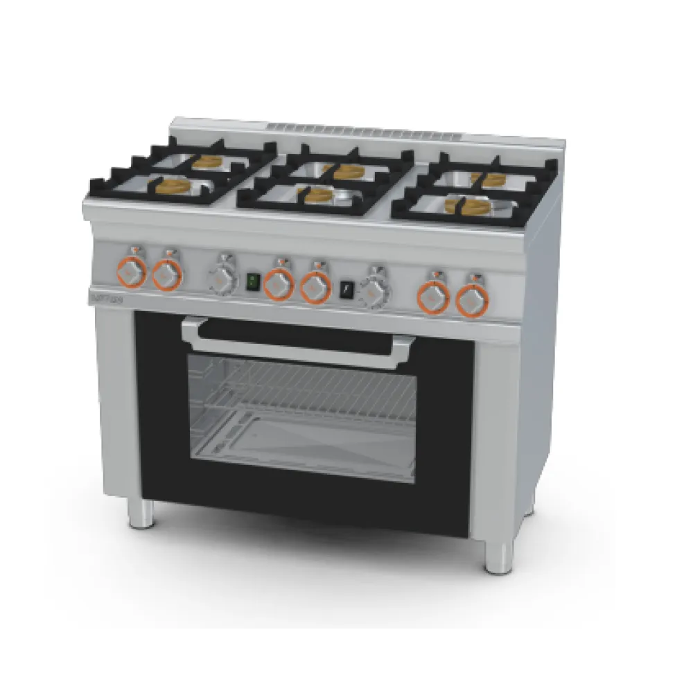 Газовая плита с духовкой CF6-610G/V (06681050)